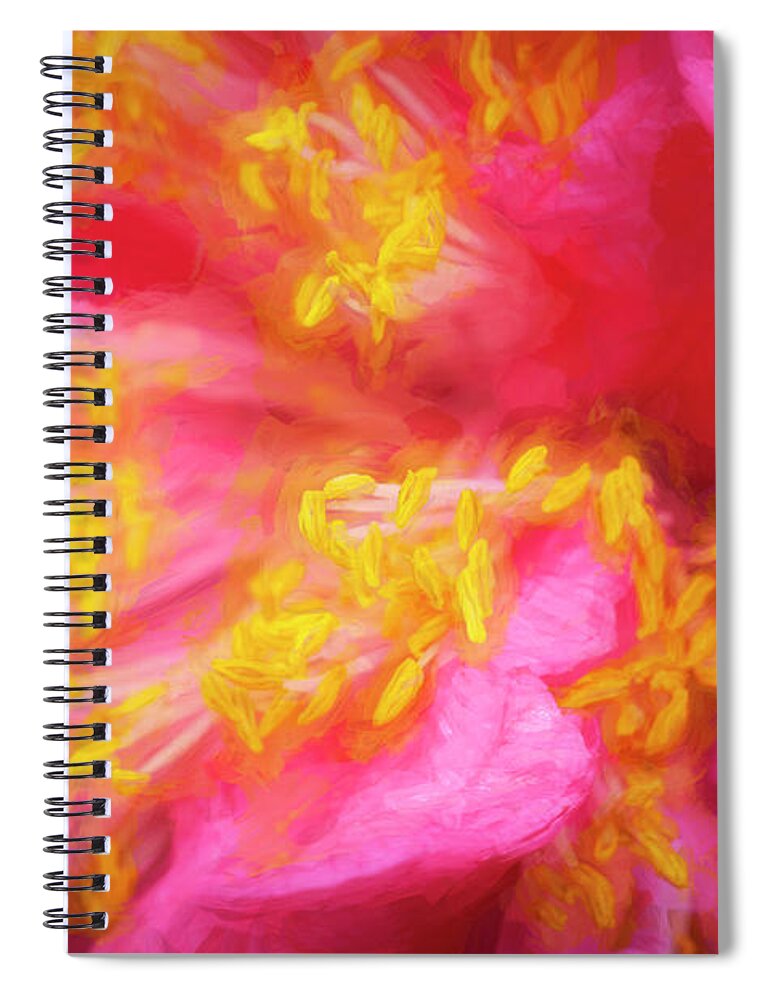 Camellia Abstract Spiral Notebook featuring the photograph Pink Camellias Japonica Abstract X104 #2 by Rich Franco