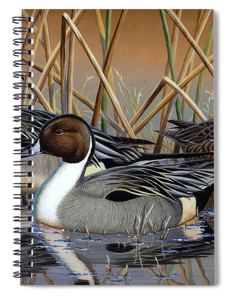Cynthie Fisher Art Spiral Notebook featuring the painting Pintail Ducks #1 by Cynthie Fisher