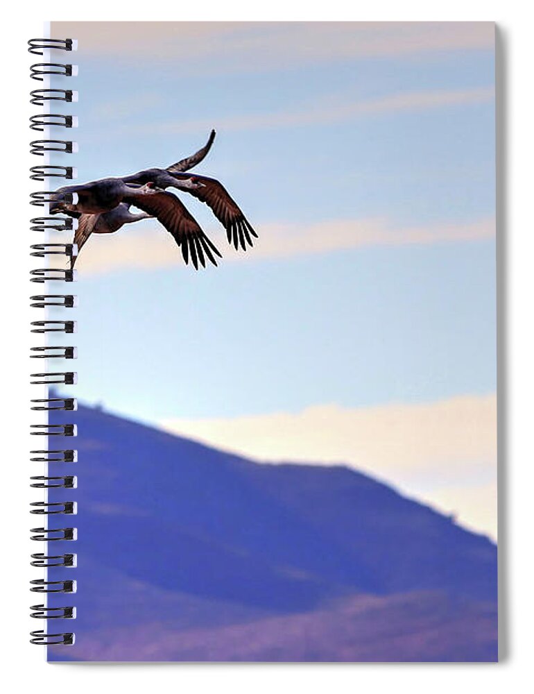 Wildlife Spiral Notebook featuring the photograph Precision Pair by Robert Harris