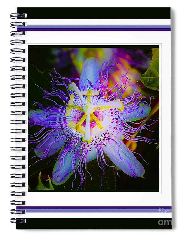  Spiral Notebook featuring the photograph Purple Passion Flower #1 by Shirley Moravec