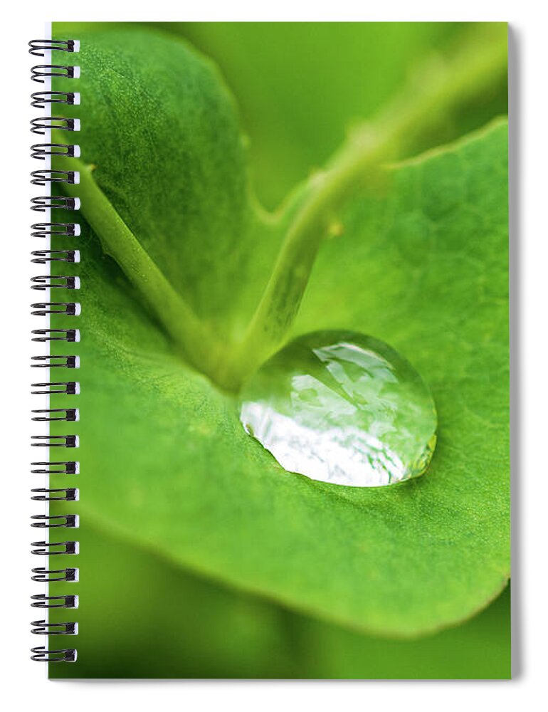 Leaf Spiral Notebook featuring the photograph Rain Drop On Leaf #1 by Amelia Pearn