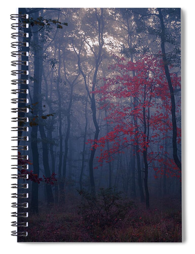 Balkan Mountains Spiral Notebook featuring the photograph Red Tree by Evgeni Dinev