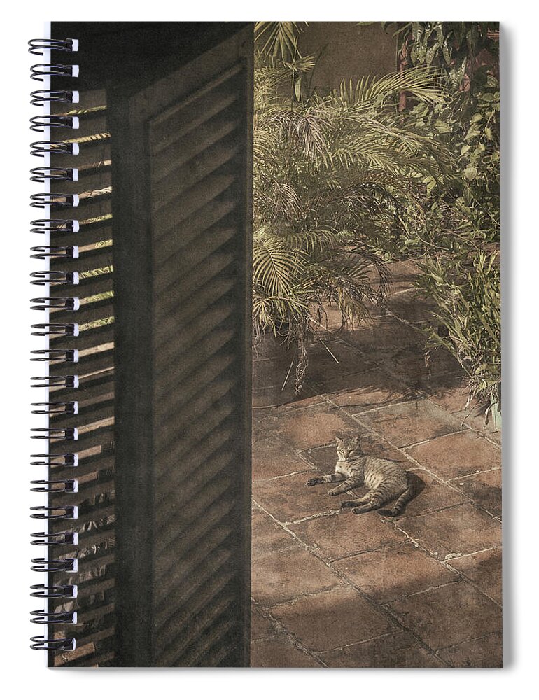 Cat Spiral Notebook featuring the photograph Royalty by M Kathleen Warren