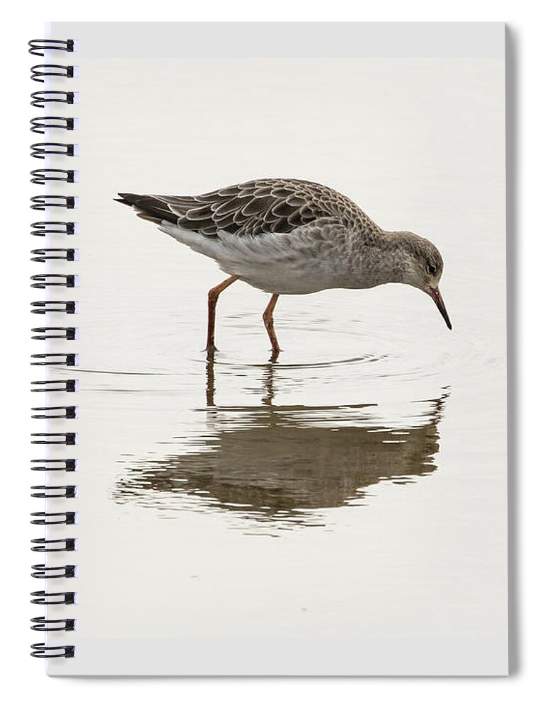100-400mmlmk2 Spiral Notebook featuring the photograph Ruff #2 by Wendy Cooper