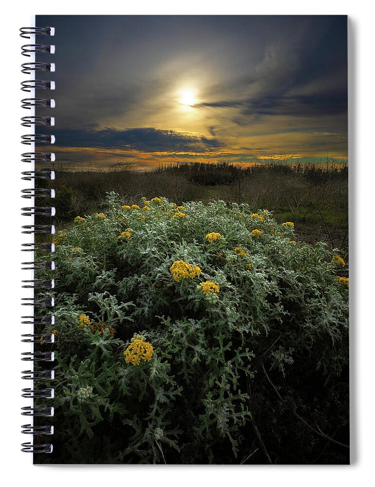  Spiral Notebook featuring the photograph San Simeon #1 by Lars Mikkelsen