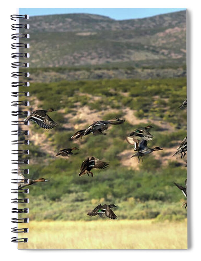 Desert Spiral Notebook featuring the photograph Scatter #1 by Robert Harris