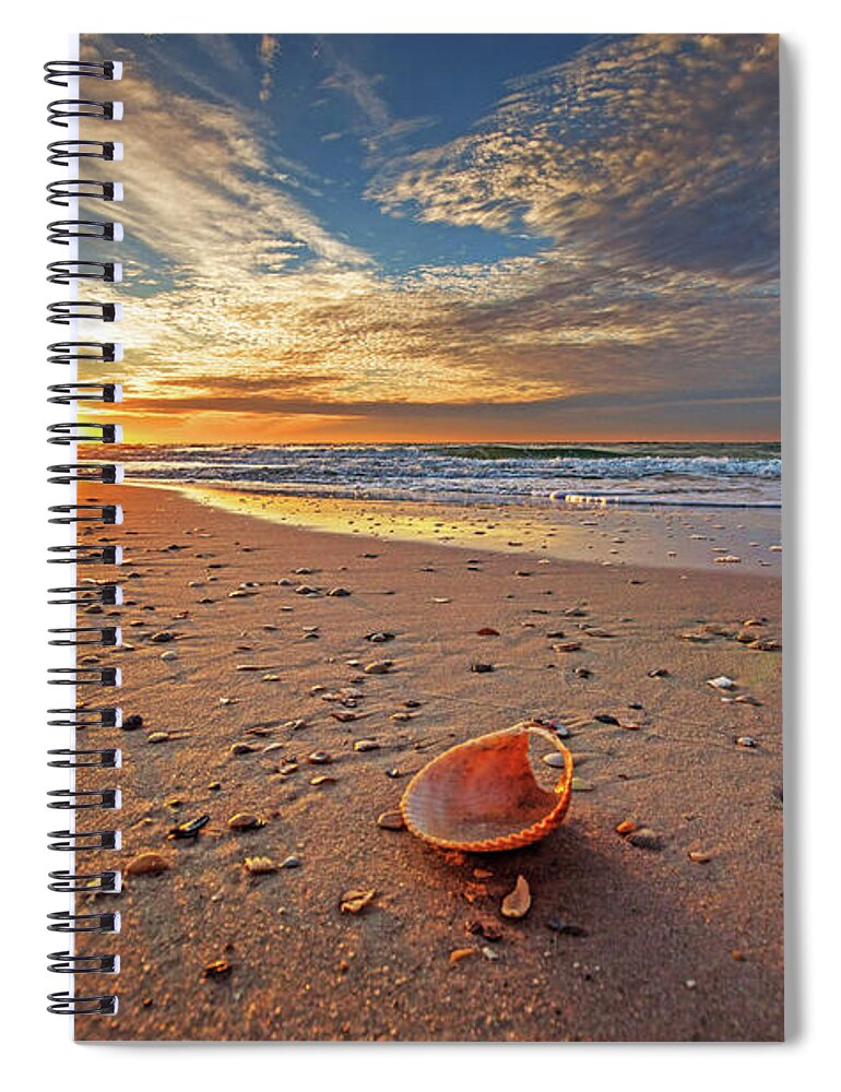 Alabama Spiral Notebook featuring the photograph Seashell by the Seashore #1 by Michael Thomas