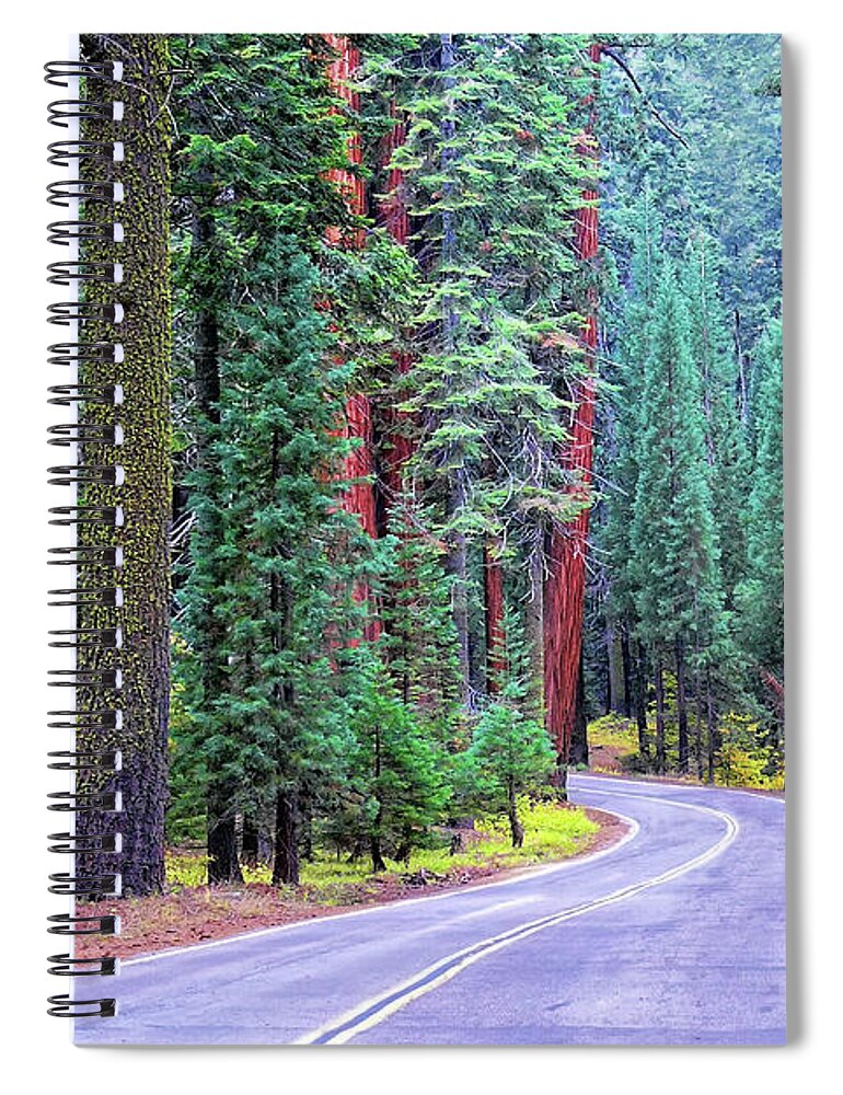 Forest Spiral Notebook featuring the photograph Sequoia Hwy #1 by Beth Sargent