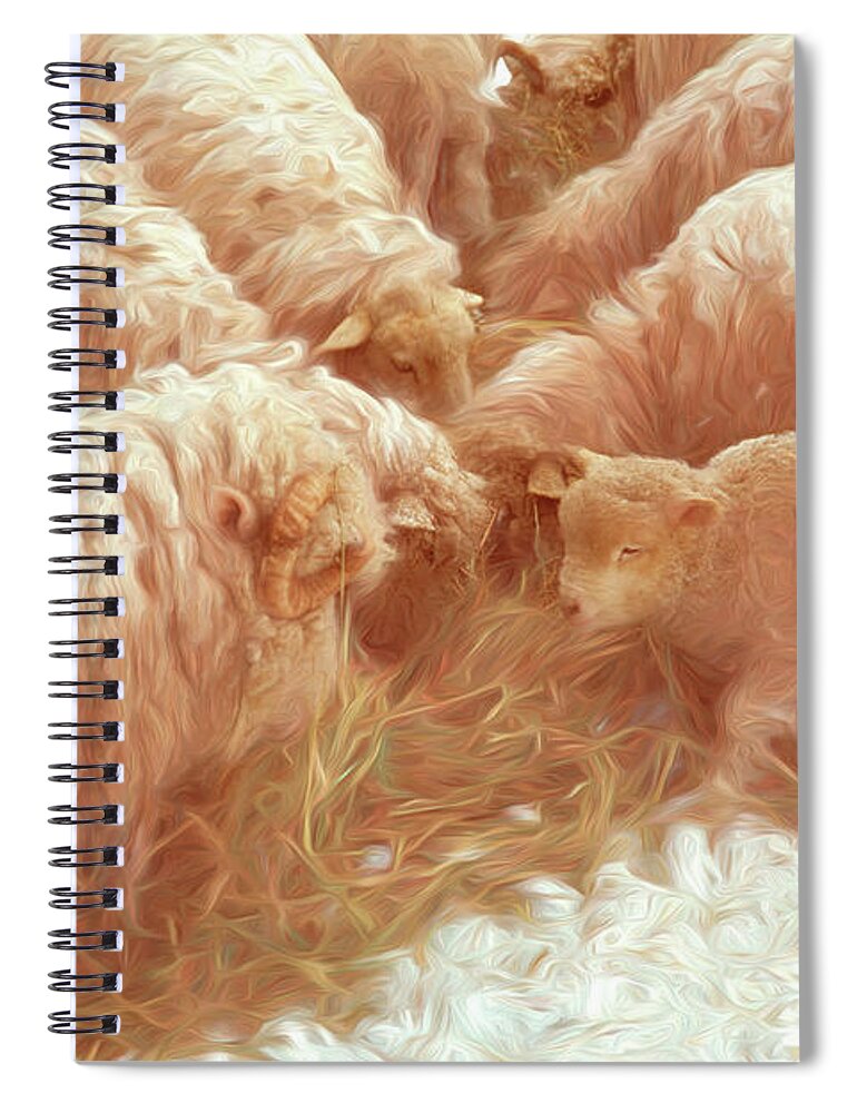 Sheep Spiral Notebook featuring the photograph Sheep in Underhill, Vermont. #2 by George Robinson