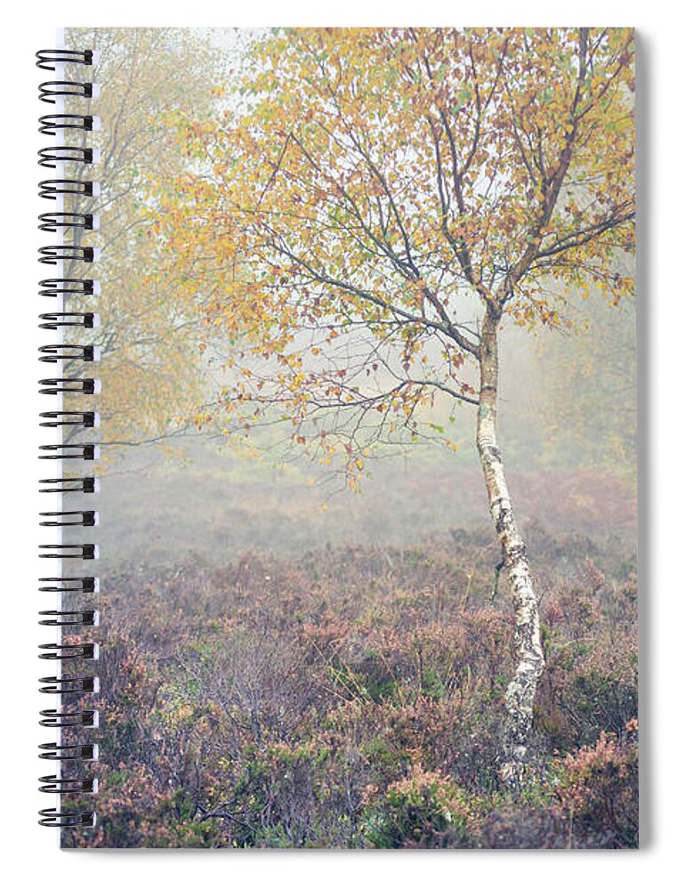 Autumn Spiral Notebook featuring the photograph Silver and Gold #1 by Anita Nicholson