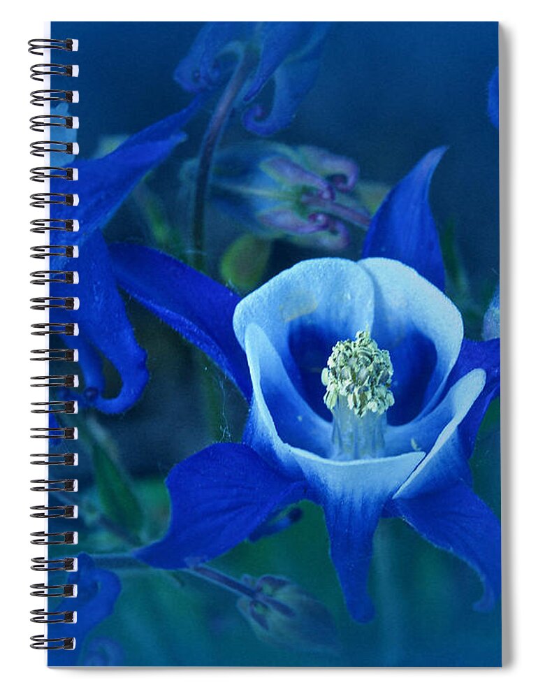 Blue Spiral Notebook featuring the photograph Study in Blue #2 by Richard Cummings