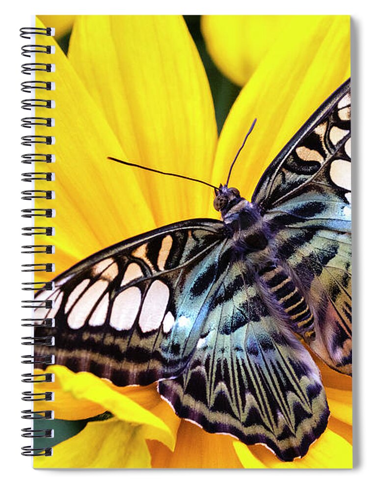 Vibrant Rest Stop Spiral Notebook featuring the photograph Vibrant Rest Stop by Patty Colabuono