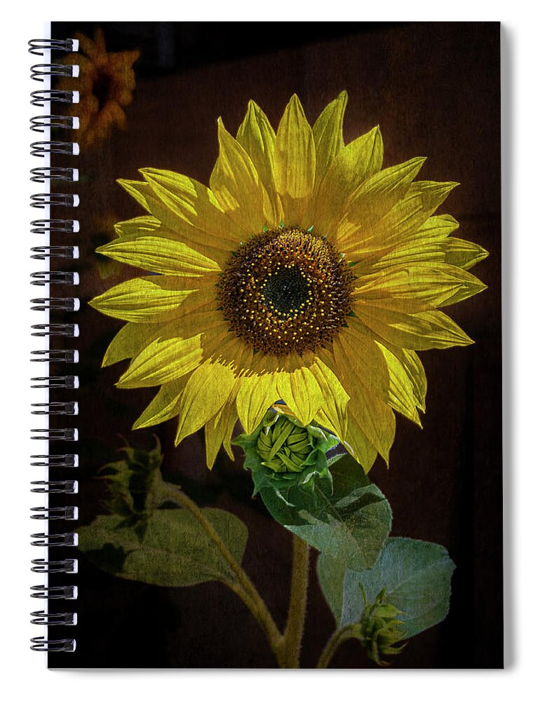 © 2013 Lou Novick Spiral Notebook featuring the photograph Sunflower #1 by Lou Novick