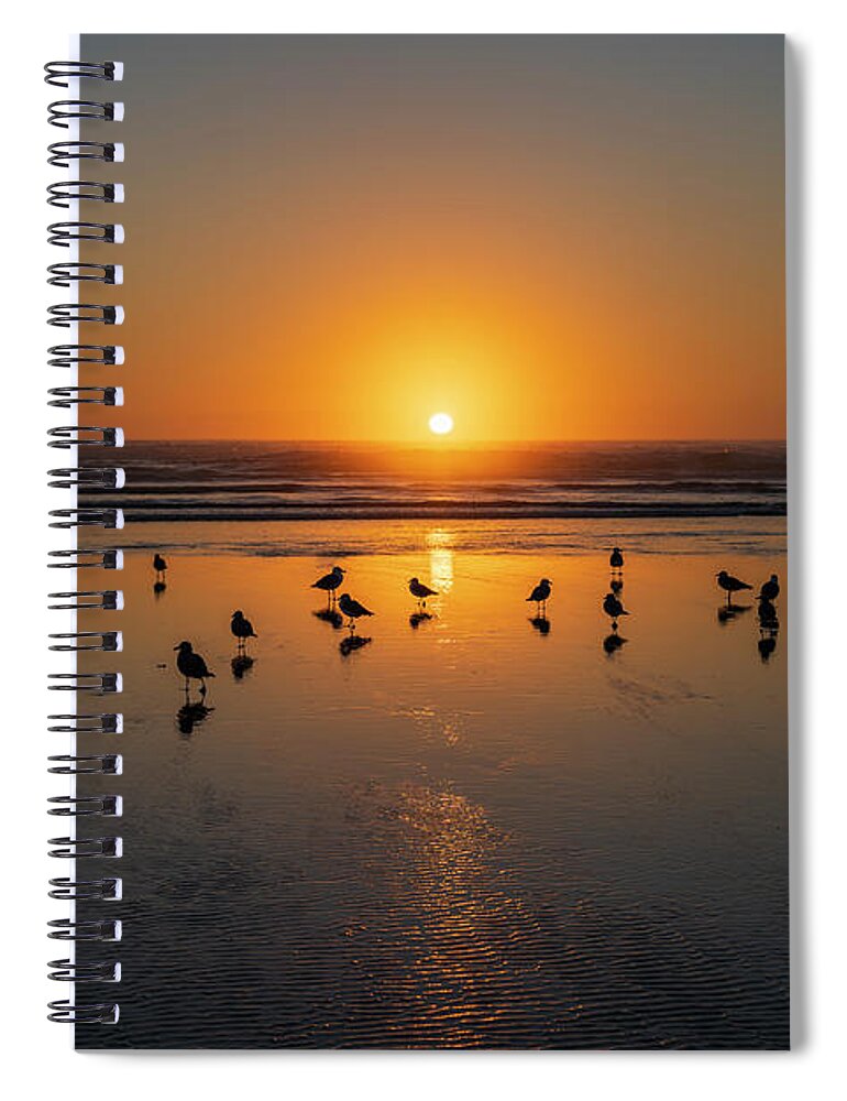 Animals Spiral Notebook featuring the photograph Sunset at Chapman Beach, #1 by Robert Potts