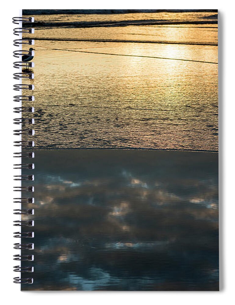 Animals Spiral Notebook featuring the photograph Surf Reflection #1 by Robert Potts