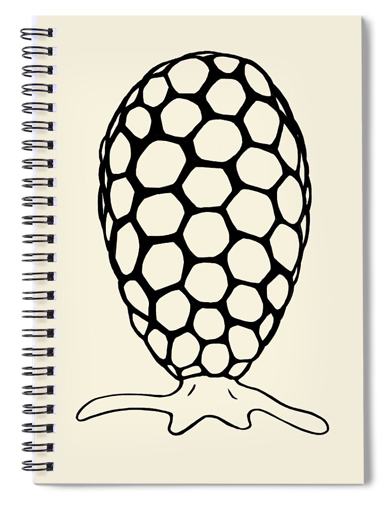 Protozoa Spiral Notebook featuring the digital art Testate Amoeba by Kate Solbakk