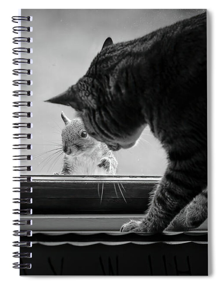 Animal Spiral Notebook featuring the photograph The Cat and The Squirrel #1 by Bob Orsillo