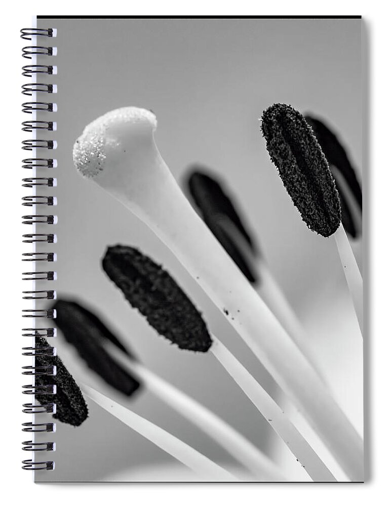 Flower Spiral Notebook featuring the photograph The Center by Cathy Kovarik