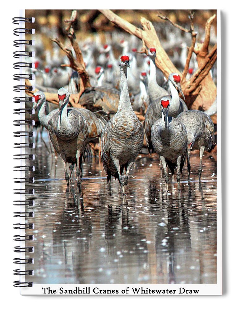 Wildlife Spiral Notebook featuring the photograph The Cranes of Whitewater by Robert Harris
