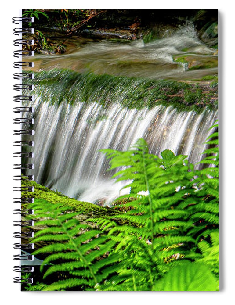 Waterfall Spiral Notebook featuring the photograph The Little Things #1 by Lisa Lambert-Shank