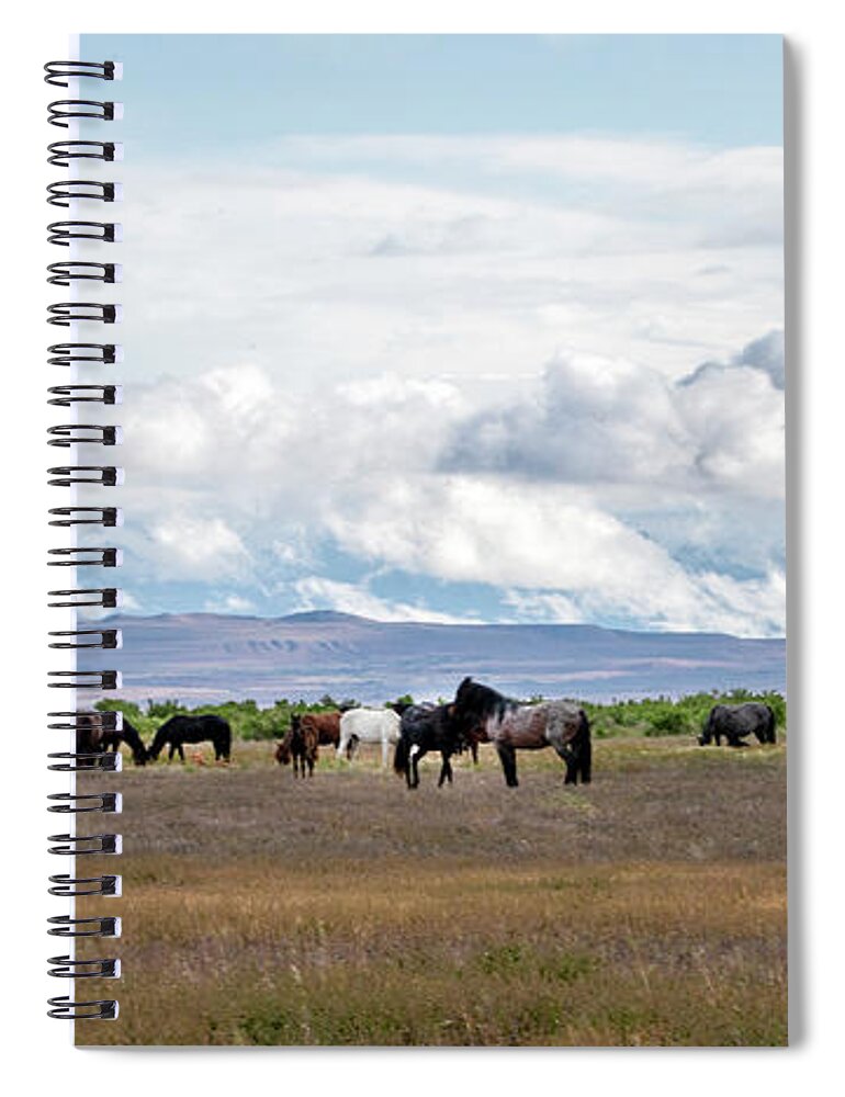 Horse Spiral Notebook featuring the photograph The Wild Horses of the Onaqui Mountains, Utah #1 by Jeanette Mahoney