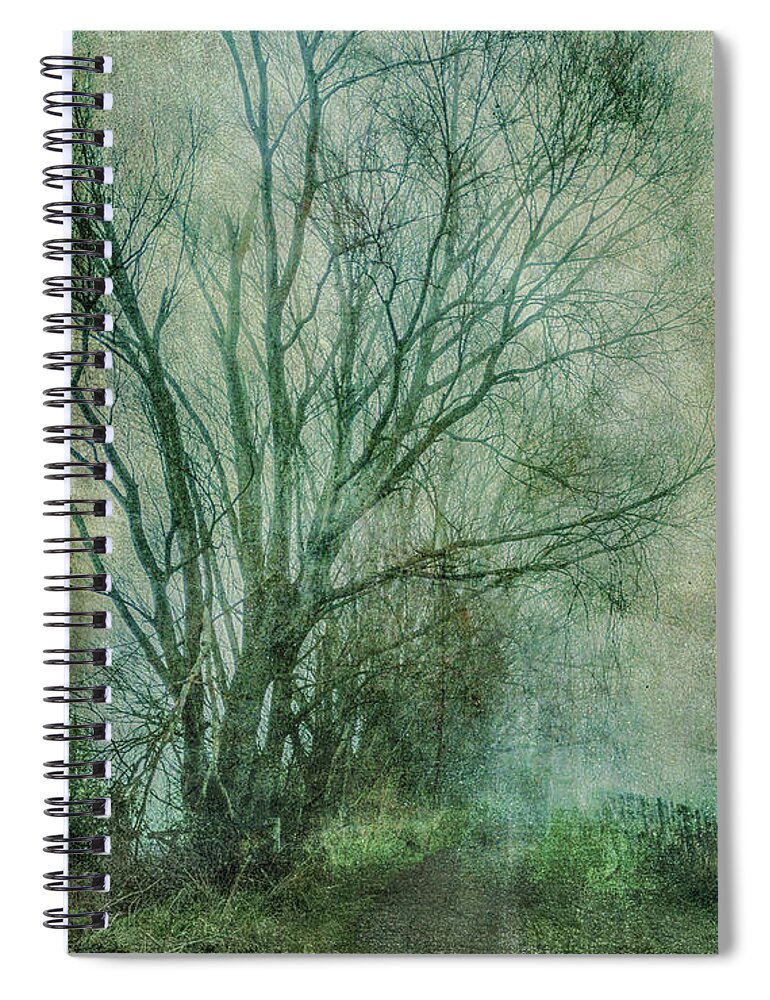 Tree Spiral Notebook featuring the photograph Tree Mist #1 by Roseanne Jones