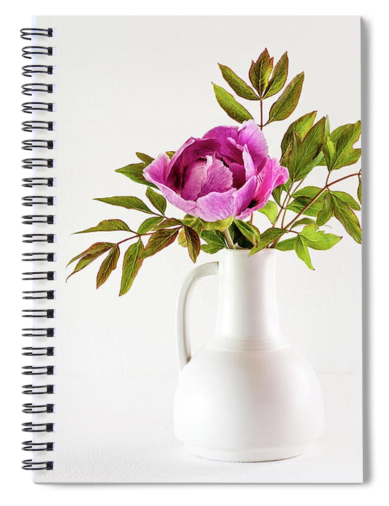 Tree Peony Spiral Notebook featuring the photograph Tree peony Lan He Paeonia suffruticosa rockii in a white vase by Torbjorn Swenelius