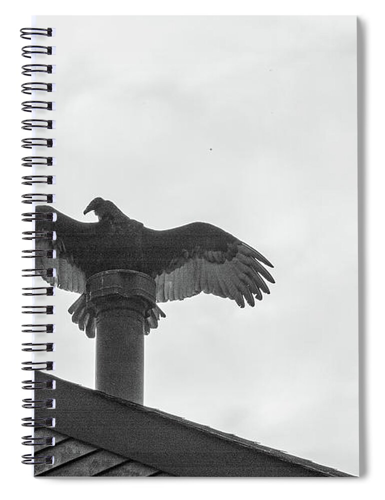 3-nature Spiral Notebook featuring the photograph Turkey Vultures Photography #1 by Louis Dallara