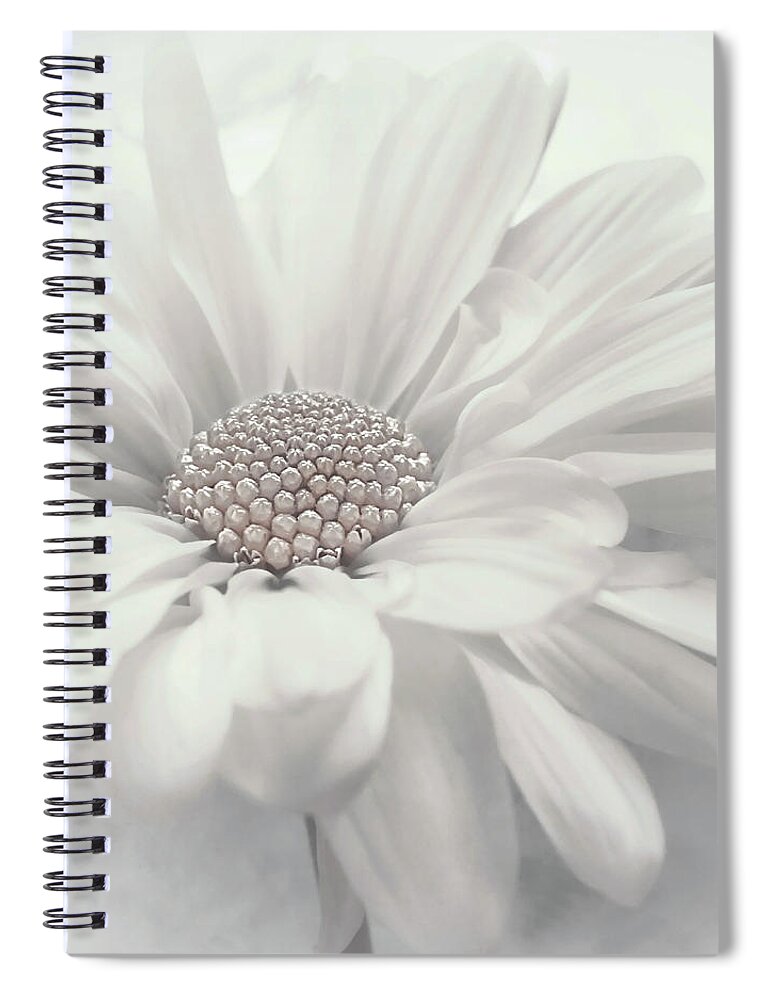 Nature Spiral Notebook featuring the photograph Vanilla Ice update #1 by Darlene Kwiatkowski