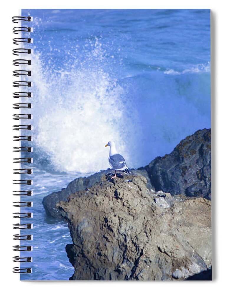 Sea Gull Spiral Notebook featuring the photograph Vantage Point by Kandy Hurley