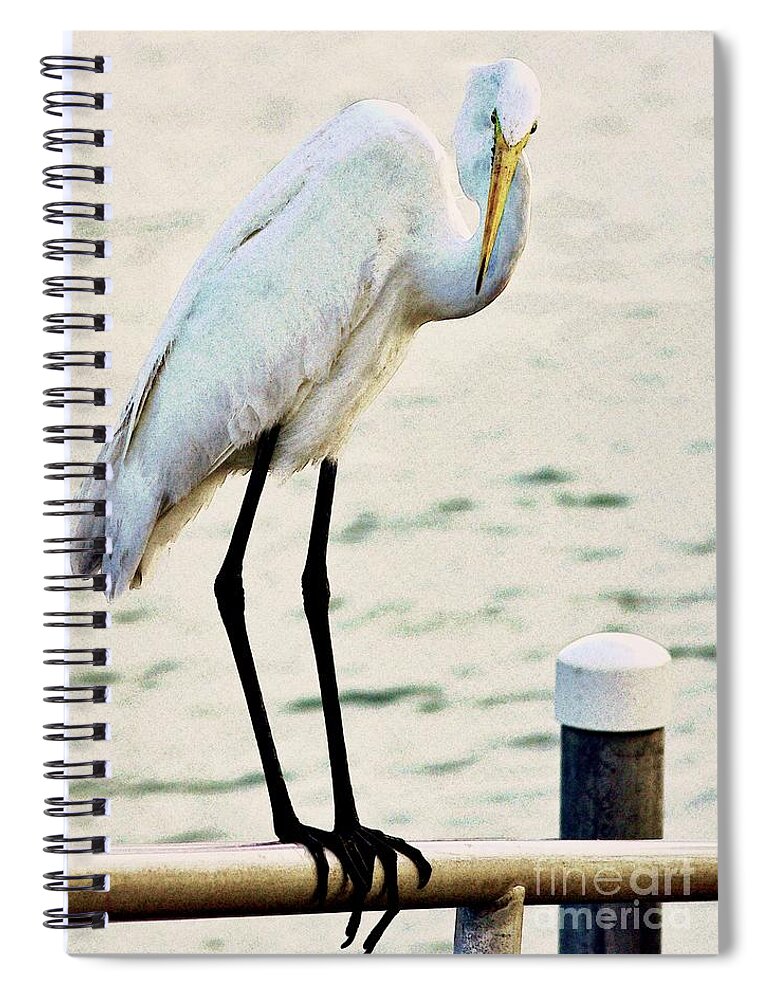 Great Egret Spiral Notebook featuring the photograph Waiting #1 by Hilda Wagner