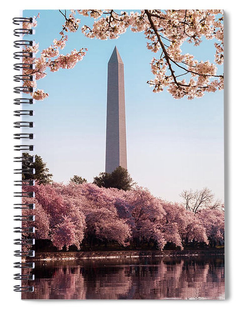 Flower Spiral Notebook featuring the photograph Washington Monument towers above blossoms #1 by Steven Heap