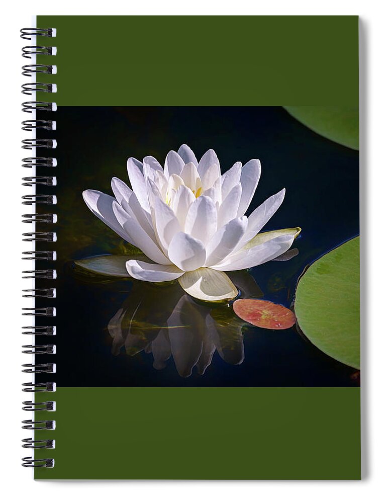 White Flower Spiral Notebook featuring the photograph Water Lily #1 by Peg Runyan