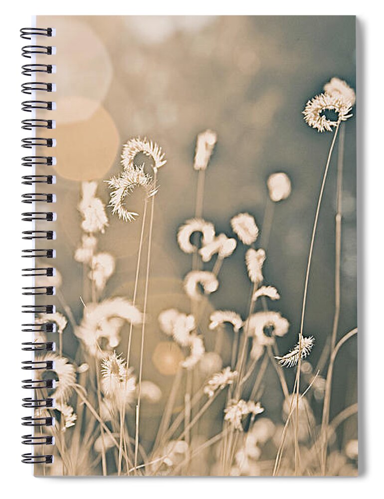 Wheat Spiral Notebook featuring the photograph Wheat Fields by Carmen Kern