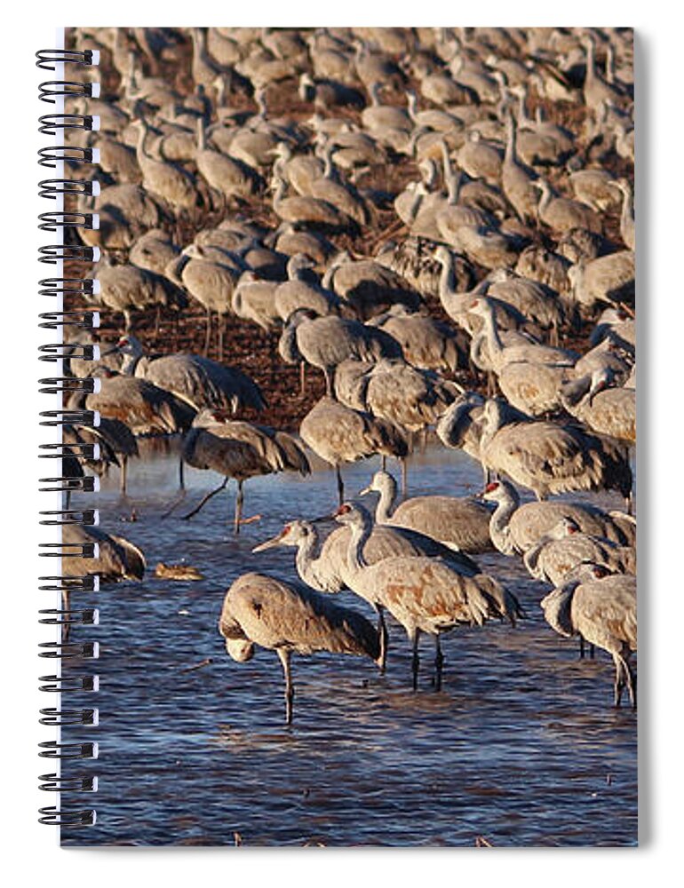 Arizona Spiral Notebook featuring the photograph Whitewater Draw 1870 #1 by Robert Harris