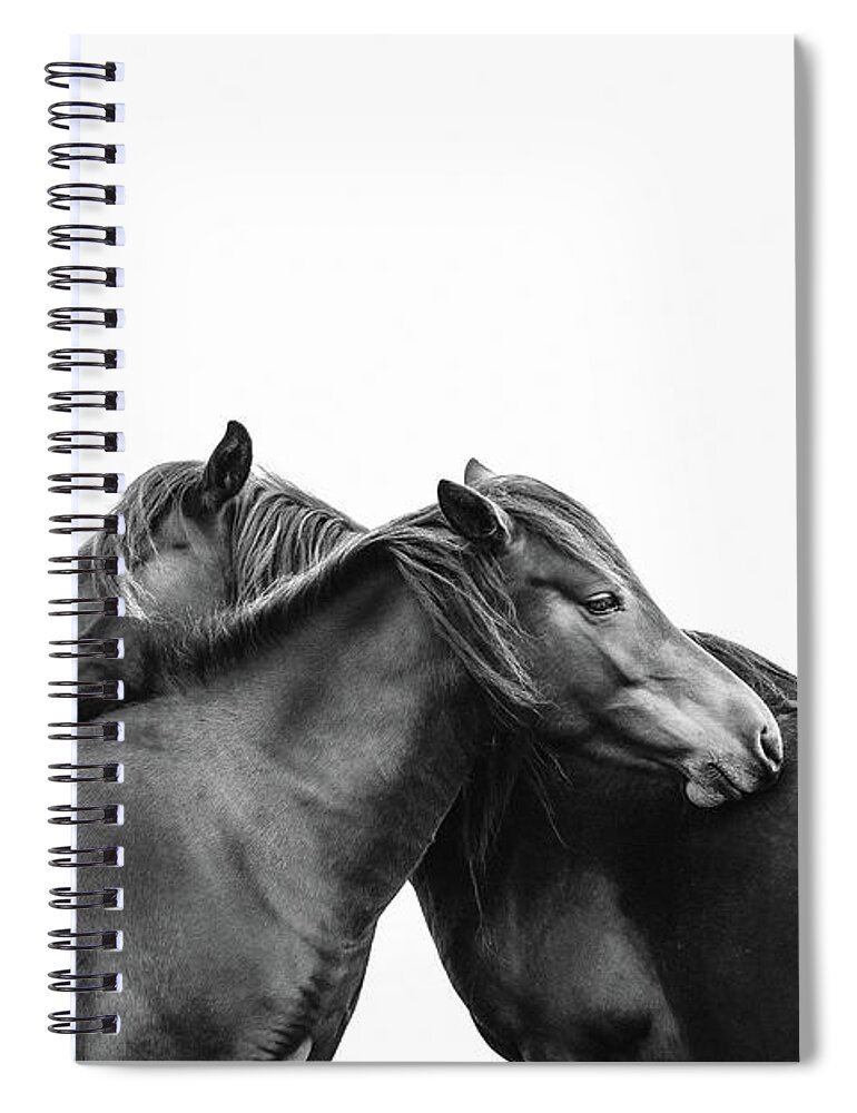 Photographs Spiral Notebook featuring the photograph You make me happy II - Horse Art #1 by Lisa Saint
