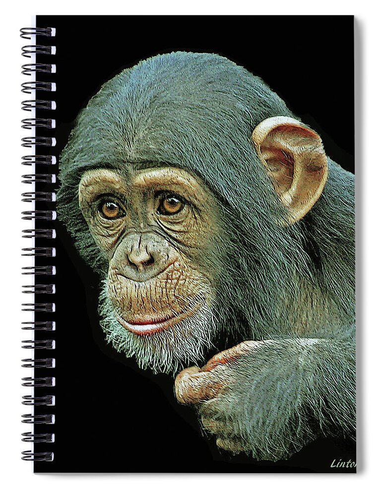 Chimpanzee Spiral Notebook featuring the digital art Young Chimpanzee #1 by Larry Linton