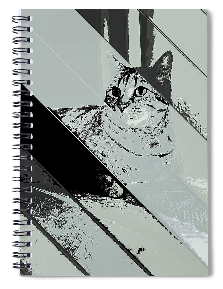 Artistic Spiral Notebook featuring the digital art Yuli 1 by Marko Sabotin
