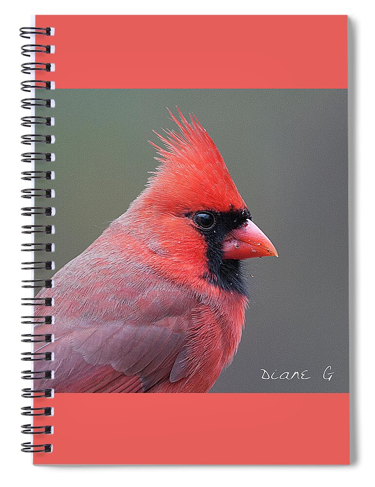 Male Cardinal Spiral Notebook featuring the photograph Male Cardinal #10 by Diane Giurco