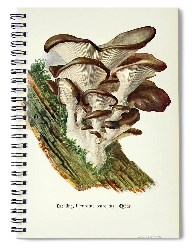 Flora Spiral Notebook featuring the mixed media Vintage Fungi Illustrations #10 by World Art Collective