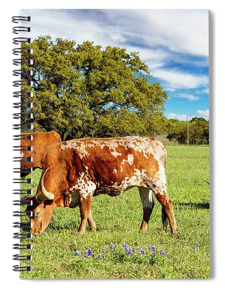 African Breed Spiral Notebook featuring the photograph Texas Hill Country #11 by Raul Rodriguez