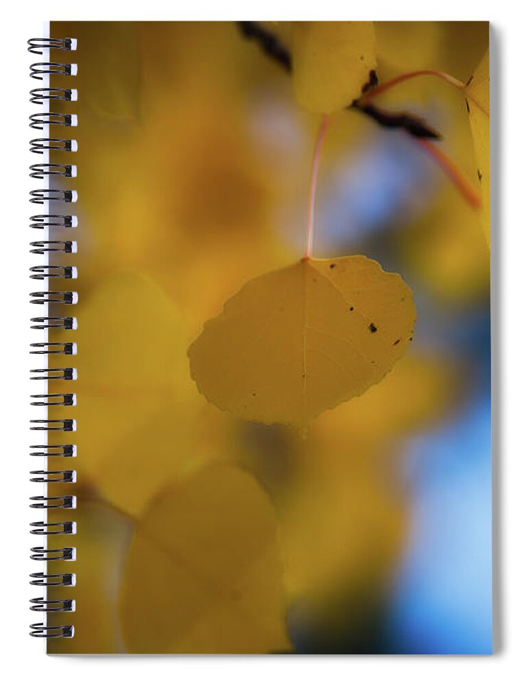 Co Spiral Notebook featuring the photograph Colorado #11 by Doug Wittrock