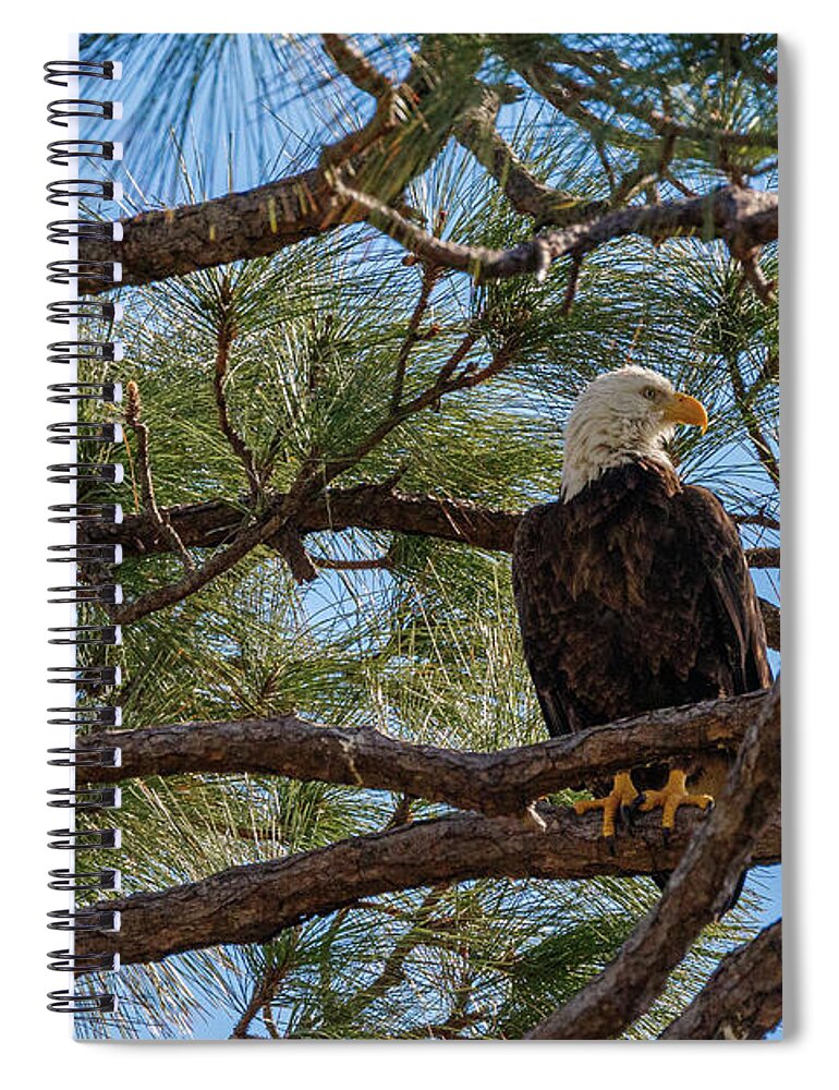 Bird Spiral Notebook featuring the photograph 1262 by Les Greenwood