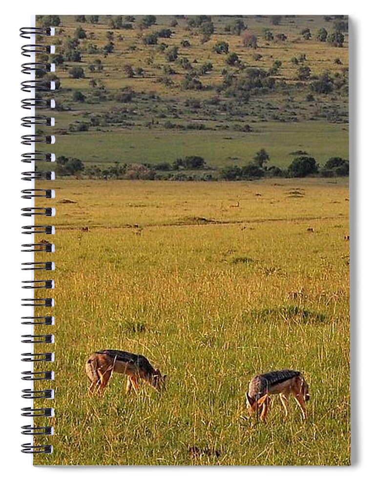  Spiral Notebook featuring the photograph 13k by Jay Handler