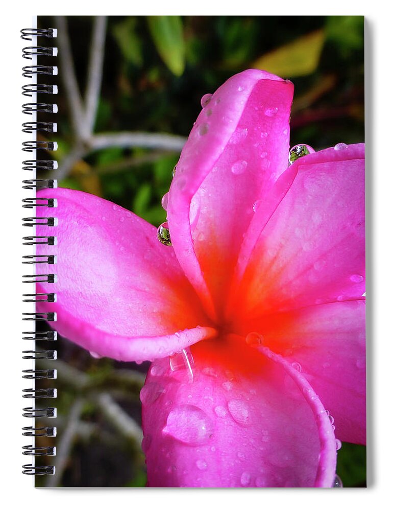 Pink Flower Pictures Spiral Notebook featuring the photograph Hawaii Flower Photography 20150713-721 by Rowan Lyford