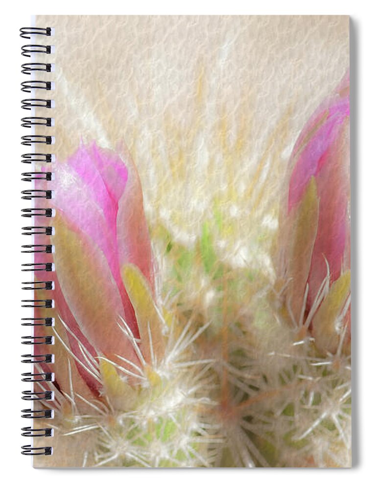Cactus Spiral Notebook featuring the photograph 1623 Watercolor Cactus Blossom by Kenneth Johnson