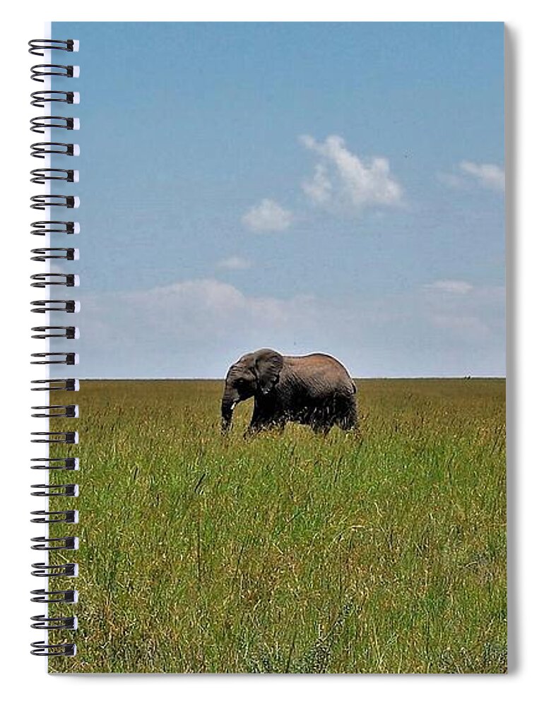  Spiral Notebook featuring the photograph 16k by Jay Handler