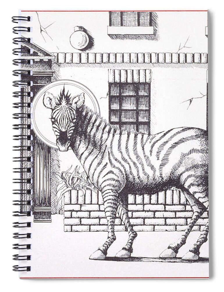 Drawing Spiral Notebook featuring the drawing 16th Street Zebra NYC by William Hart McNichols