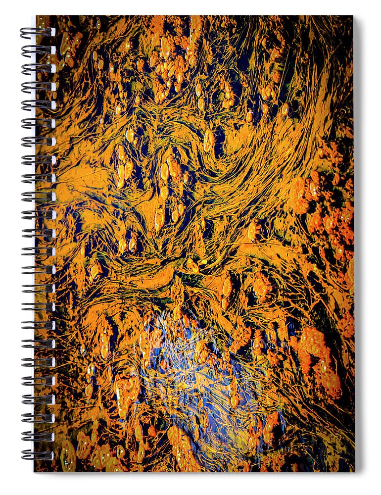 Texture Spiral Notebook featuring the photograph Yellowstone Abstract Photography 20180518-84 by Rowan Lyford