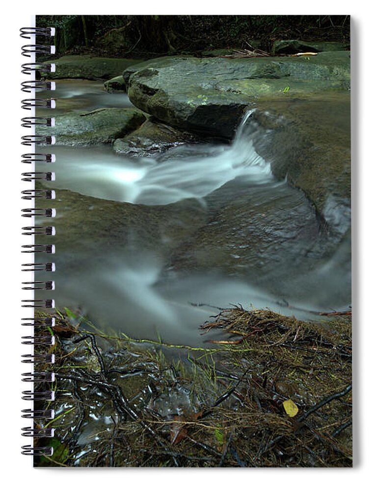 Sunshine-coast Spiral Notebook featuring the photograph 1904buderim6 by Nicolas Lombard